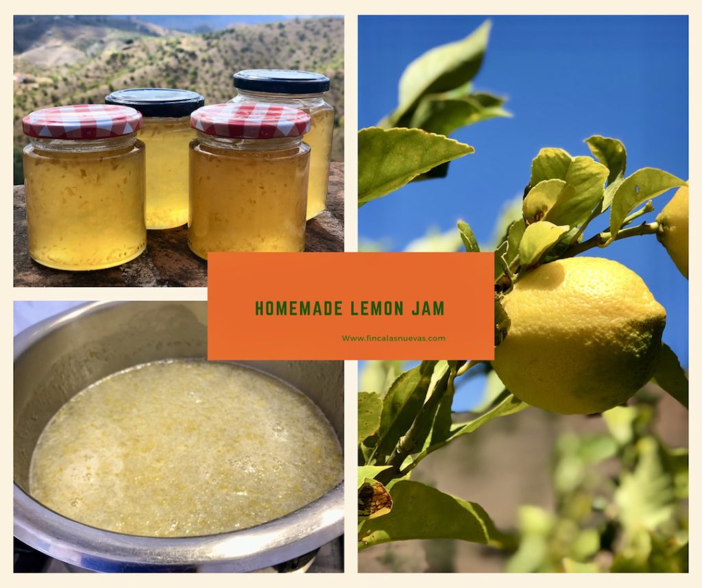 citroenjam maken in Andalusië