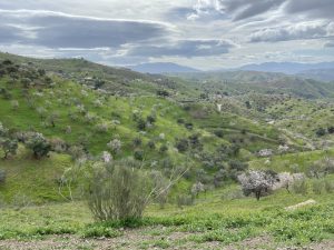 voorjaar in andalusie