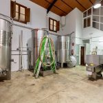 wine barrels in Andalusia