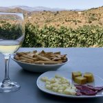 wine tasting event in Andalusia