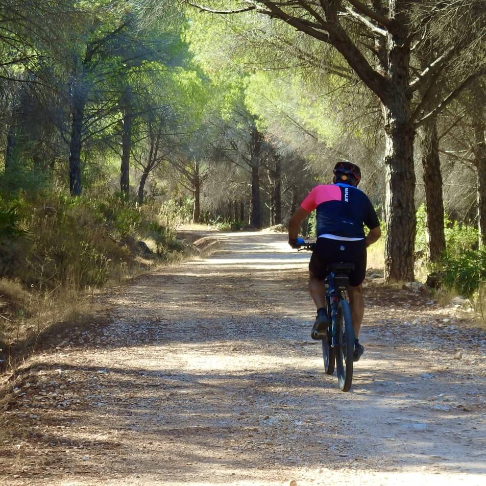 Ciclismo en España