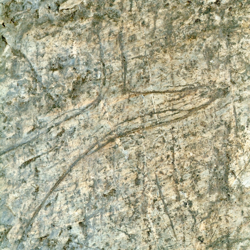 muurschilderingen in de grotten van Ardales