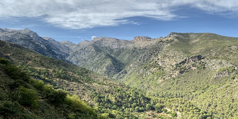 Hike in the Sierra de las Nieves