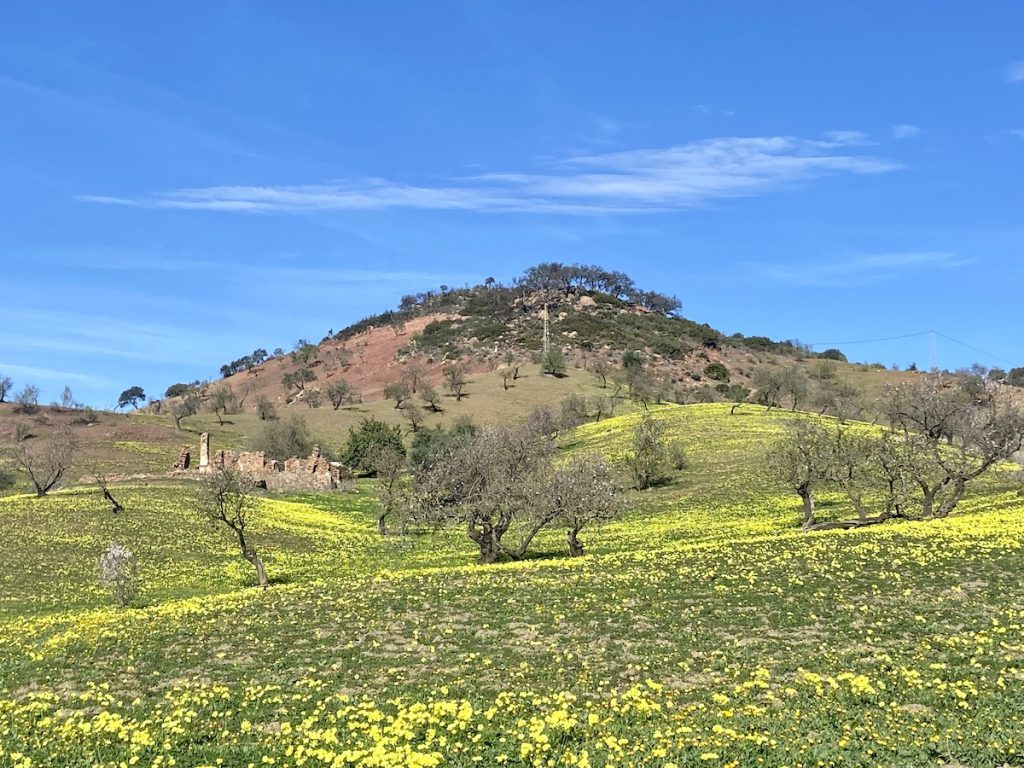 road to El Torcal