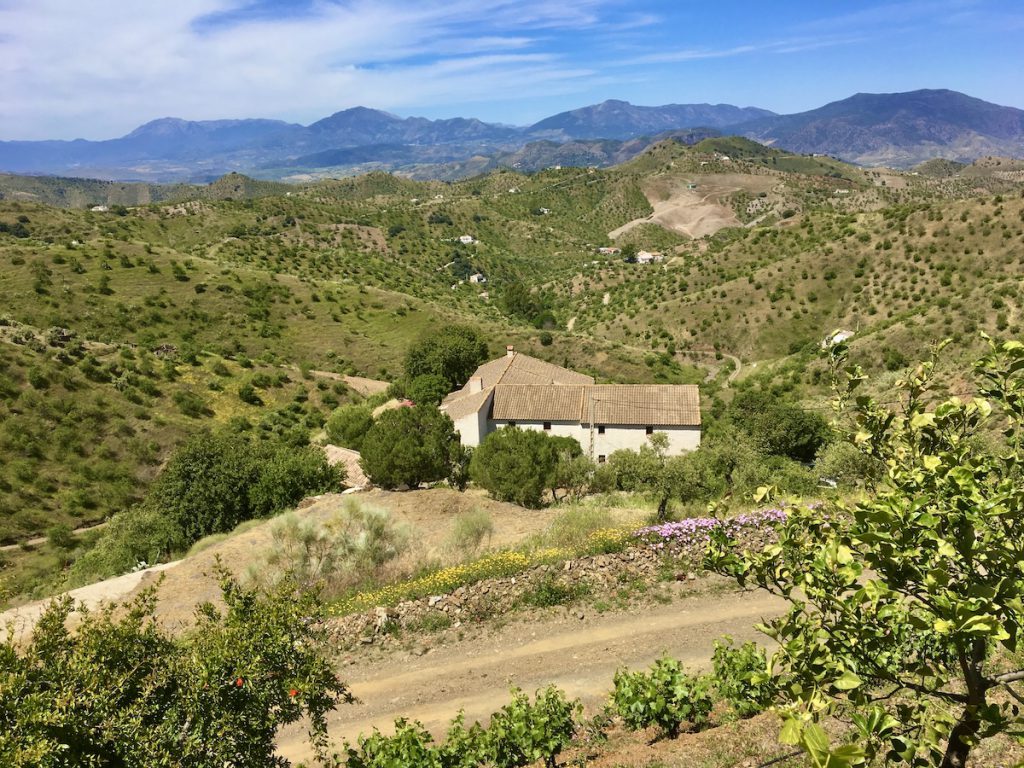 Spanish rural life influences at Finca Las Nuevas