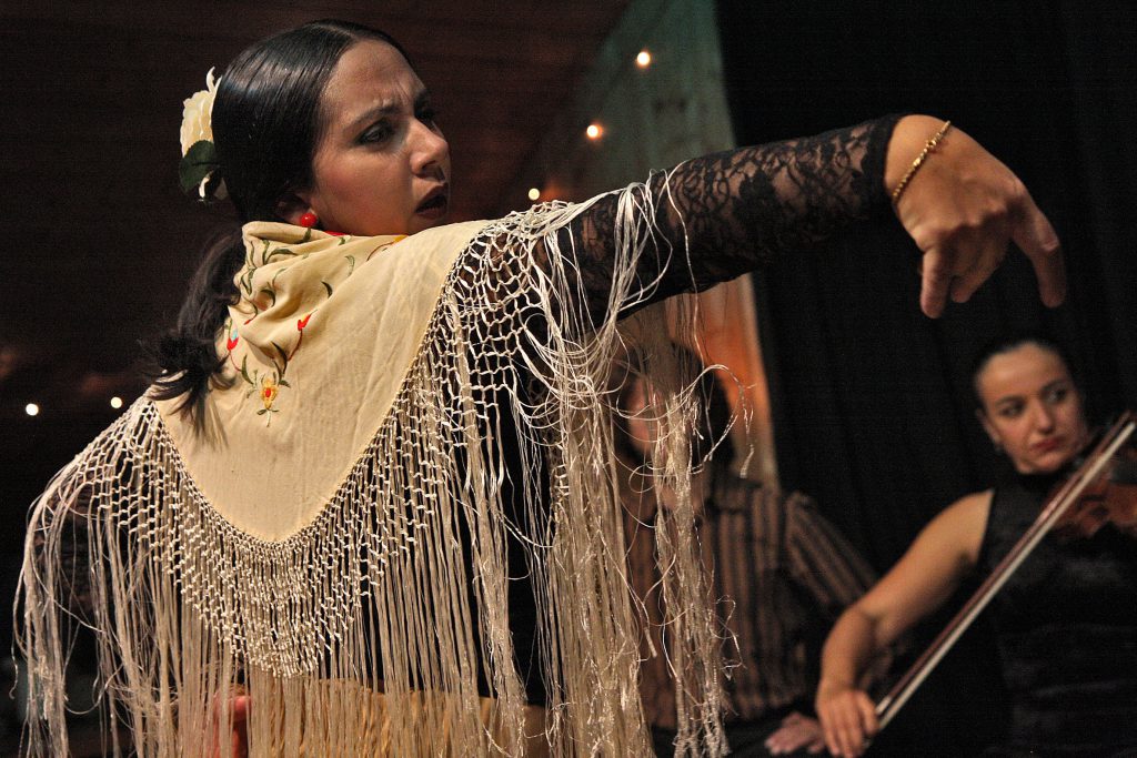 flamenco show in Malaga